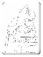 Jurassik Zoo Tee Shirt